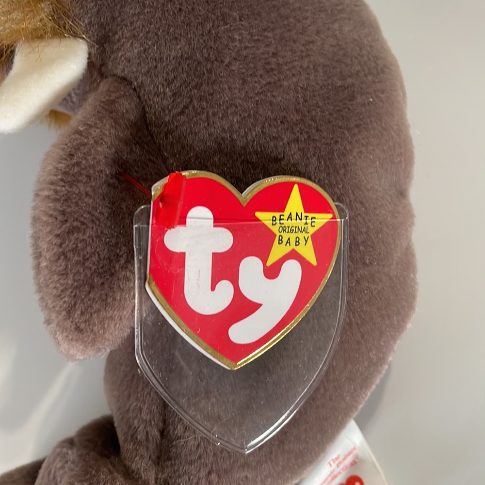 Ty Beanie Baby * Jolly the Walrus * Date of Birth: December 2, 1996 *Collectible - Picture 5 of 8